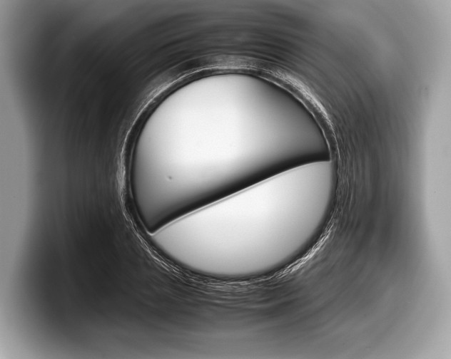 X0000099230837200804241227