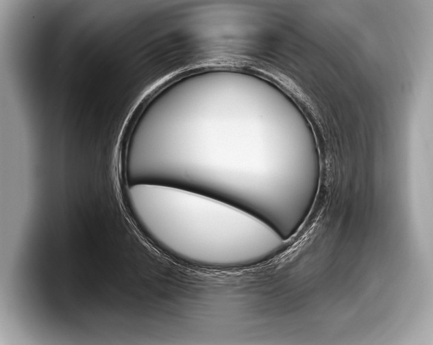 X0000099230838200804241227
