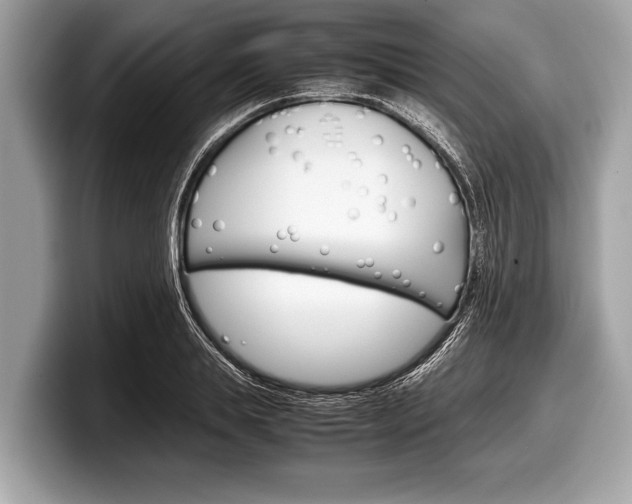 X0000099230839200804241227