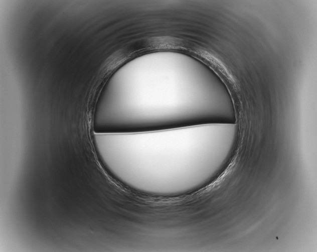 X0000099230841200804241227
