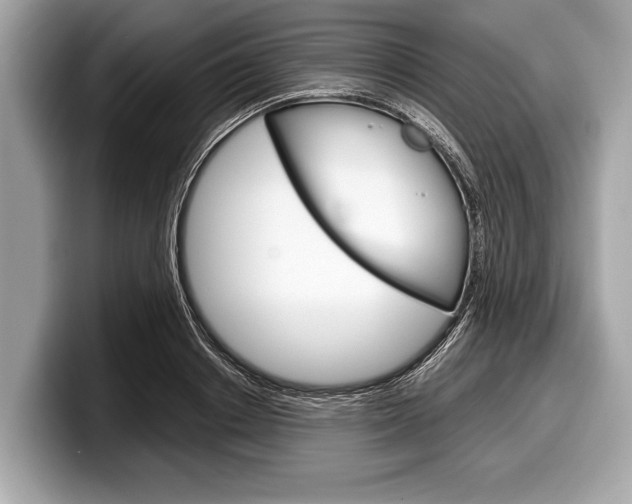 X0000099230842200804241227