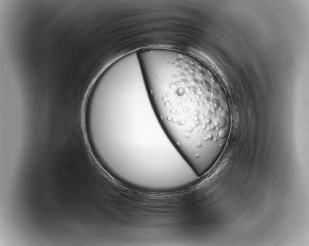 X0000099230843200804241227