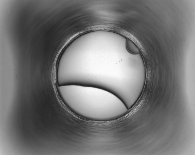 X0000099230844200804241227