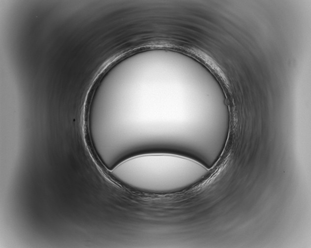 X0000099230845200804241227