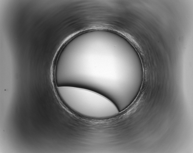 X0000099230846200804241227