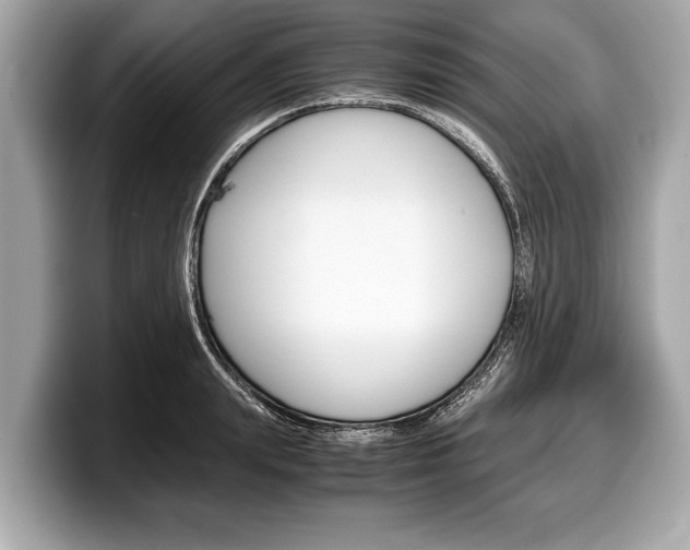 X0000099230847200804241227