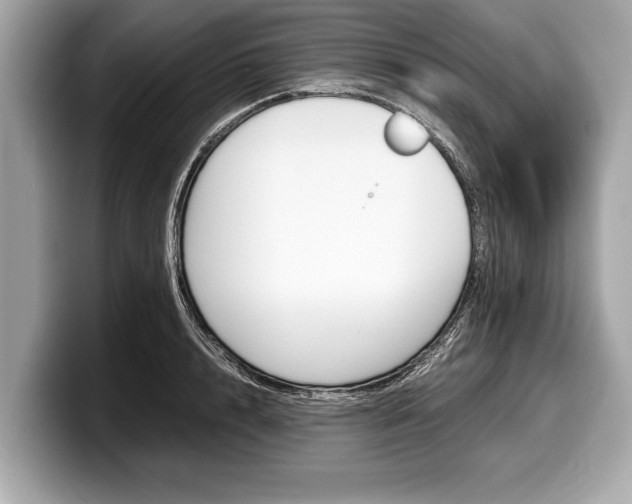 X0000099230848200804241227