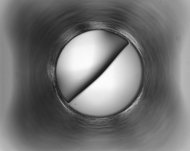 X0000099230849200804241228