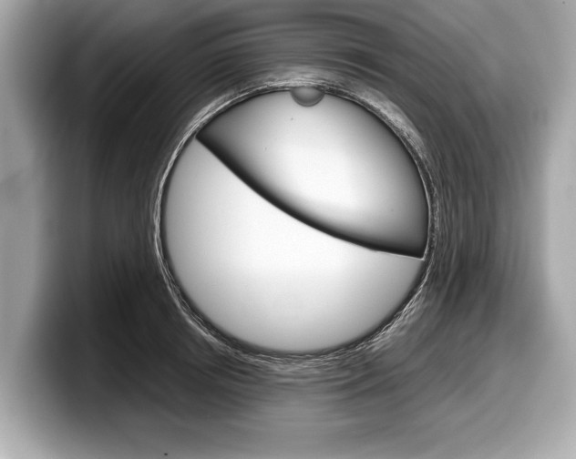 X0000099230850200804241228