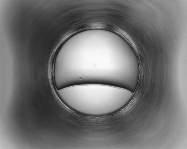 X0000099230851200804241228