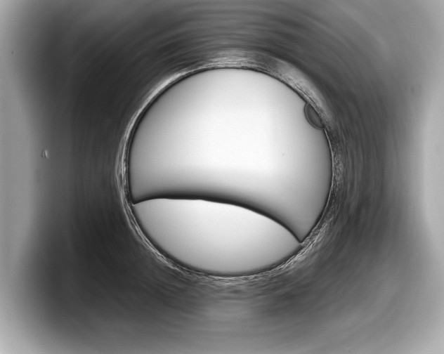 X0000099230852200804241228