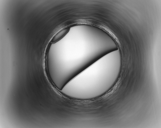 X0000099230853200804241228