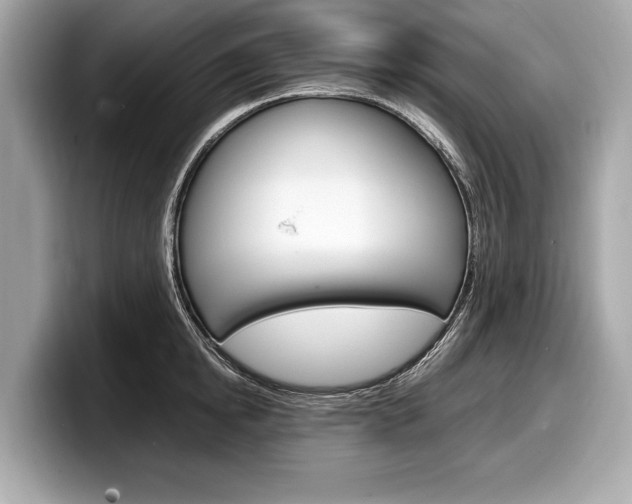 X0000099230854200804241228