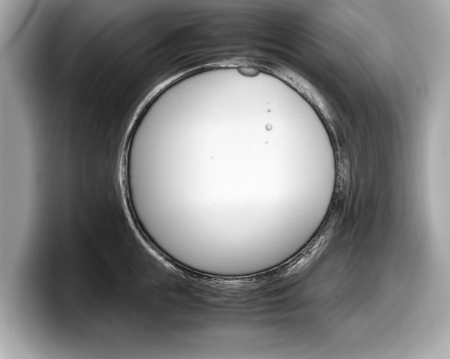 X0000099230855200804241228