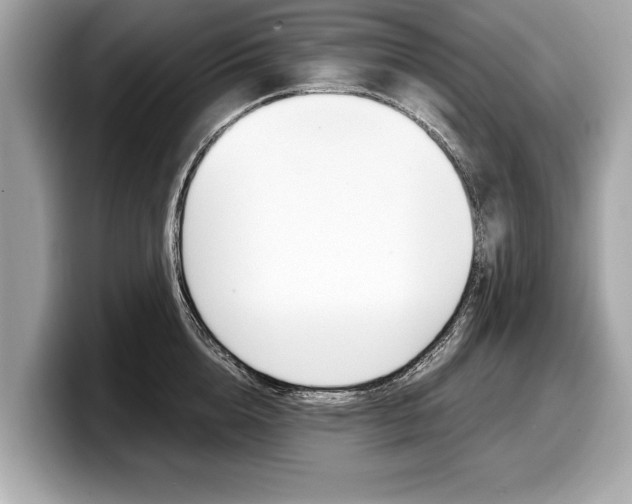X0000099230856200804241228