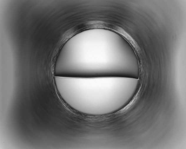 X0000099230857200804241228
