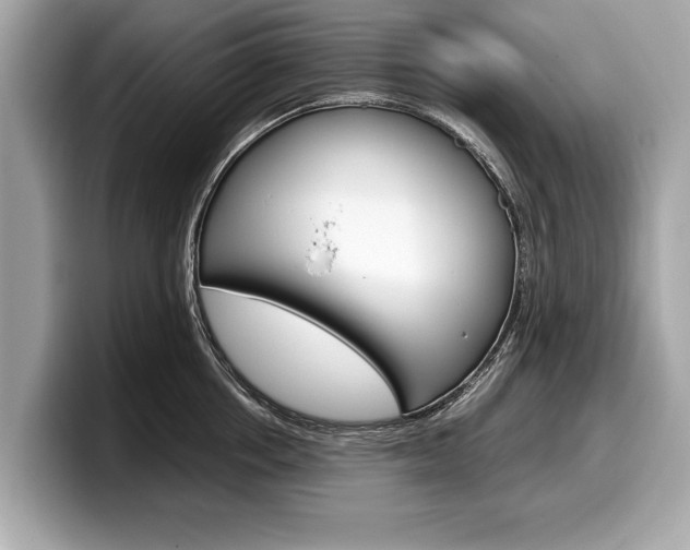 X0000099230858200804241228