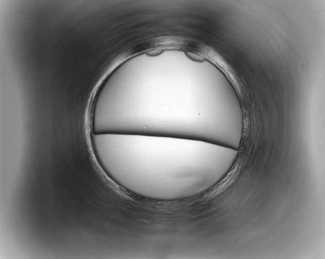 X0000099230859200804241228