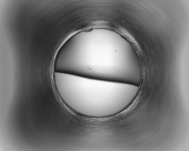 X0000099230860200804241228