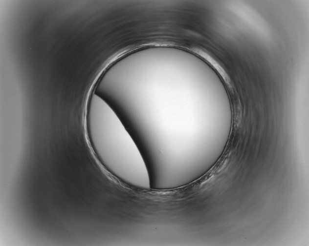 X0000099230861200804241228