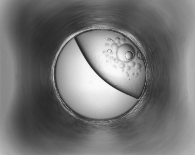 X0000099230862200804241228