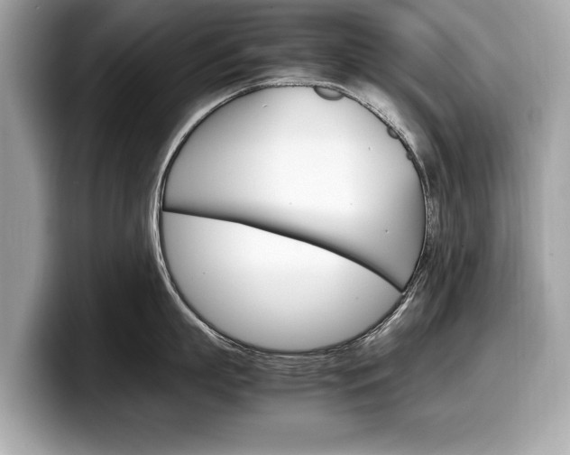 X0000099230863200804241228