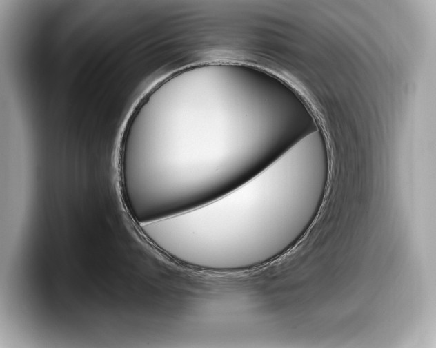 X0000099230864200804241228