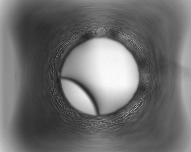 X0000099230865200804241227
