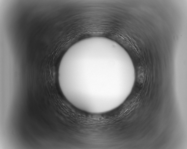 X0000099230866200804241227