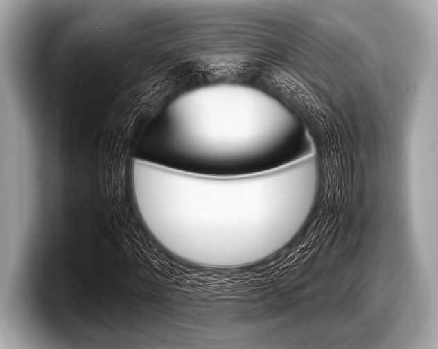 X0000099230868200804241227
