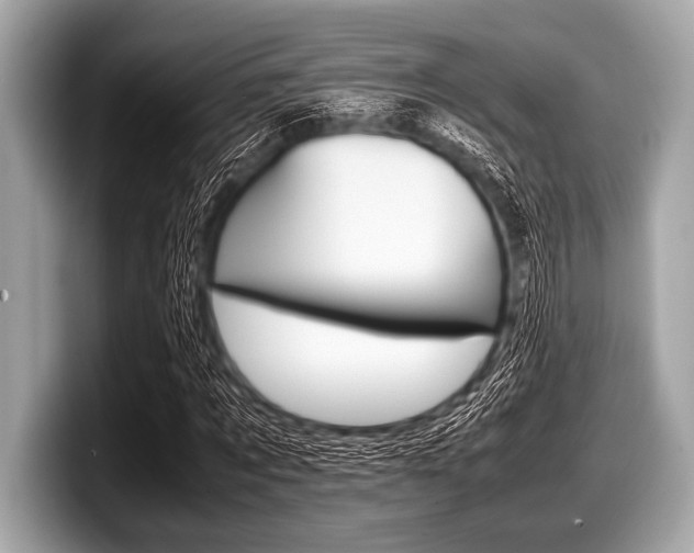 X0000099230869200804241227
