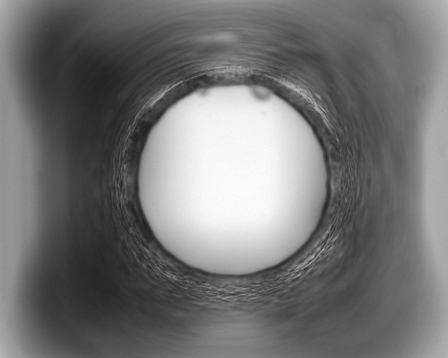 X0000099230871200804241227