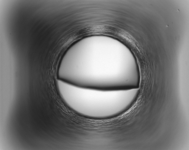 X0000099230873200804241227