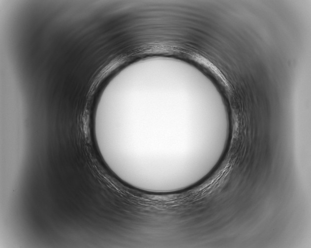 X0000099230874200804241227