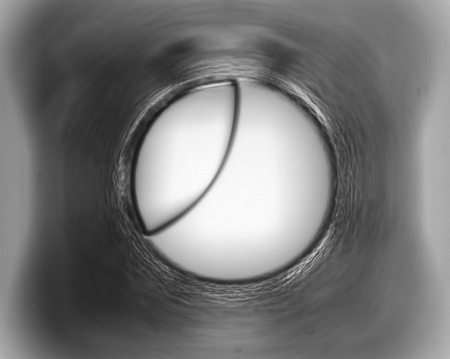X0000099230875200804241227