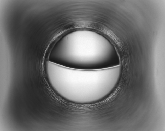 X0000099230876200804241227