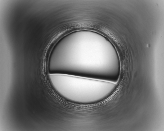 X0000099230877200804241227