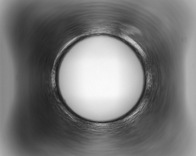 X0000099230878200804241227