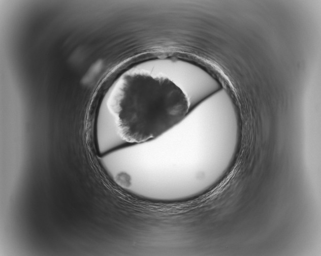 X0000099230879200804241227