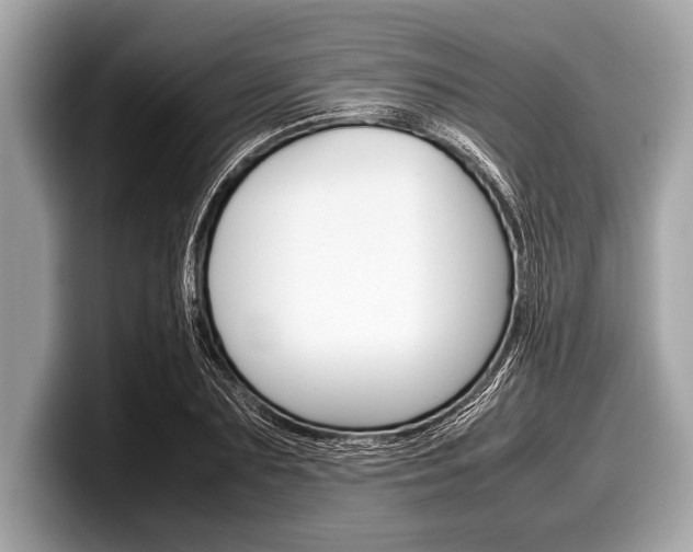 X0000099230883200804241227