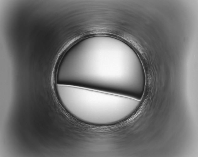 X0000099230885200804241227