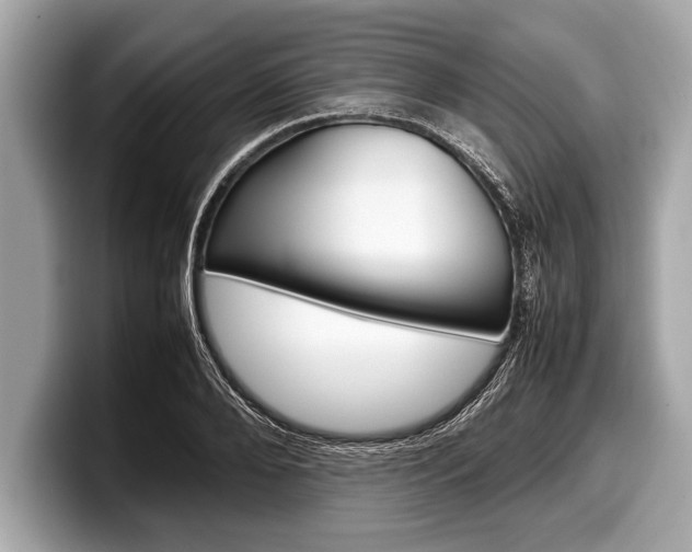 X0000099230888200804241227