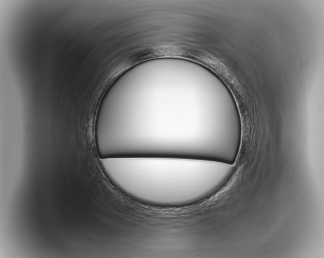 X0000099230889200804241227