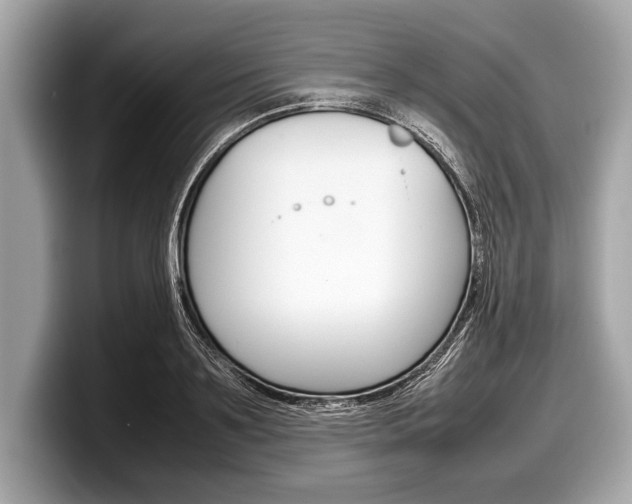 X0000099230891200804241227