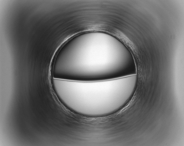 X0000099230892200804241227