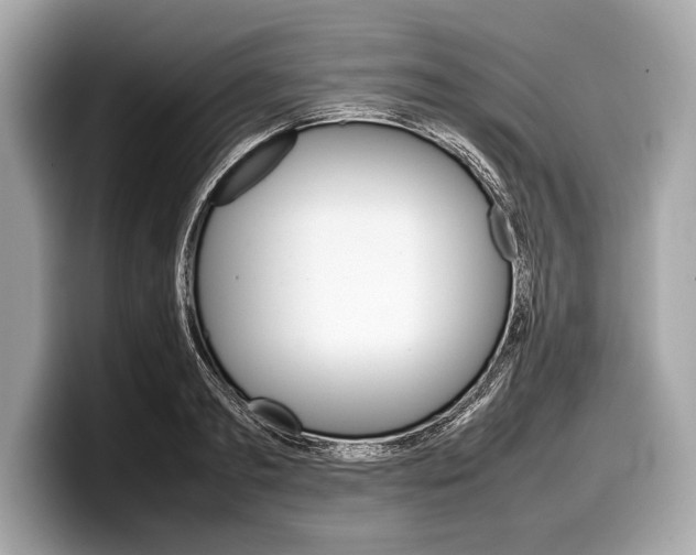 X0000099230893200804241227
