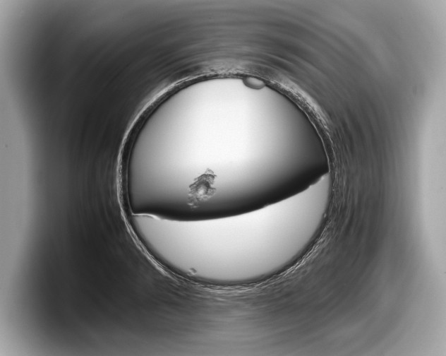 X0000099230894200804241227