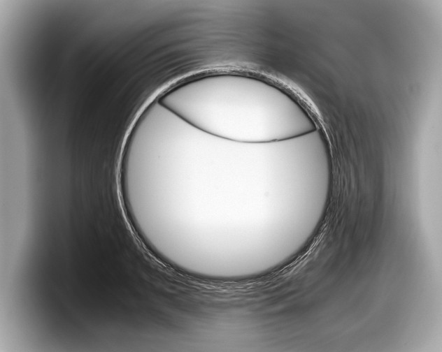 X0000099230895200804241227
