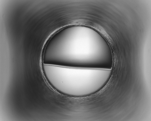 X0000099230896200804241227