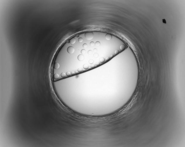 X0000099230899200804241227